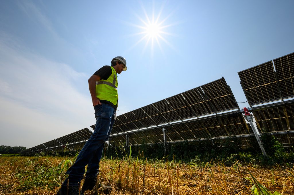 Man standing in front of a solar panel array