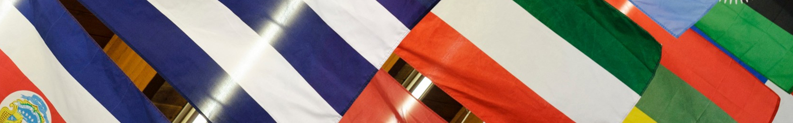 A collage of flags from around the world