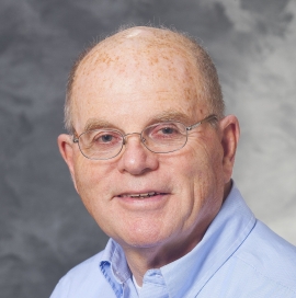 Dennis Dresang