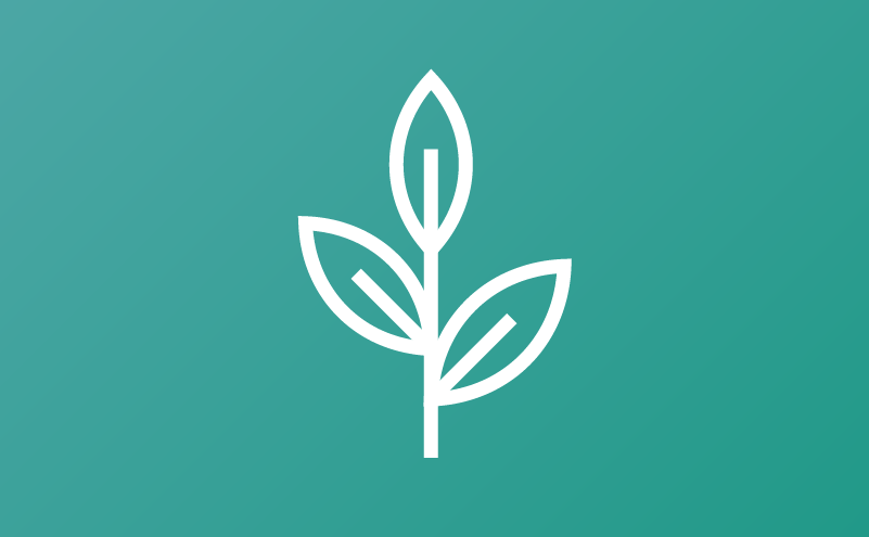 Illustration of a plant stem with leaves.