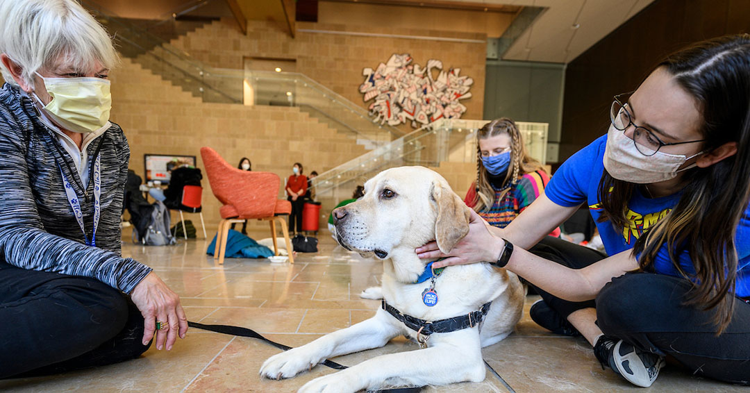 A student sits on the floor to pet a dog in the Chazen Museum of art.
