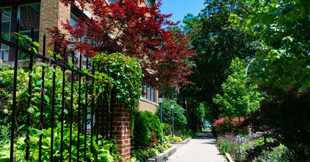 A sidewalk in Rogers Park, Chicago