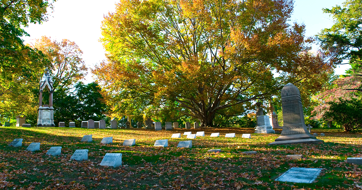Gravestones in a cemetery